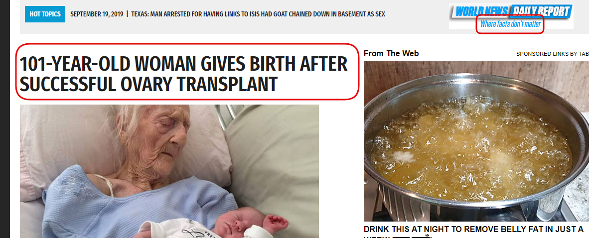 Old Lady 4.png