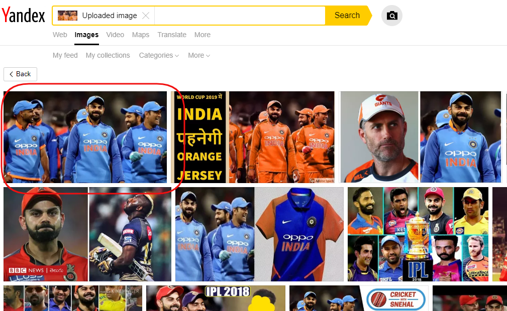 Cricket 3.png