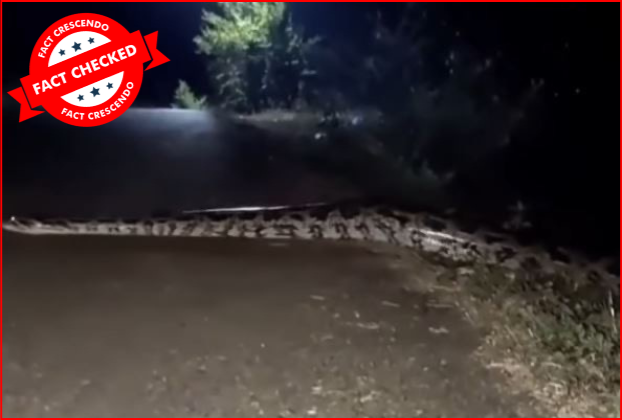 கன்னியாகுமரியில் சாலையை கடந்த ராட்சத மலைப்பாம்பு இதுவா?